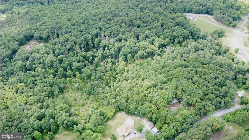 1917 S TIMBER RIDGE