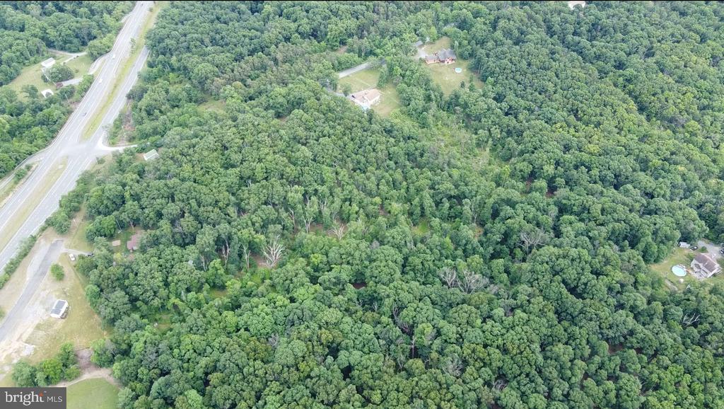1917 S TIMBER RIDGE