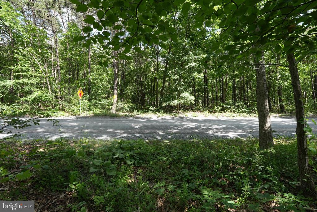 1917 S TIMBER RIDGE