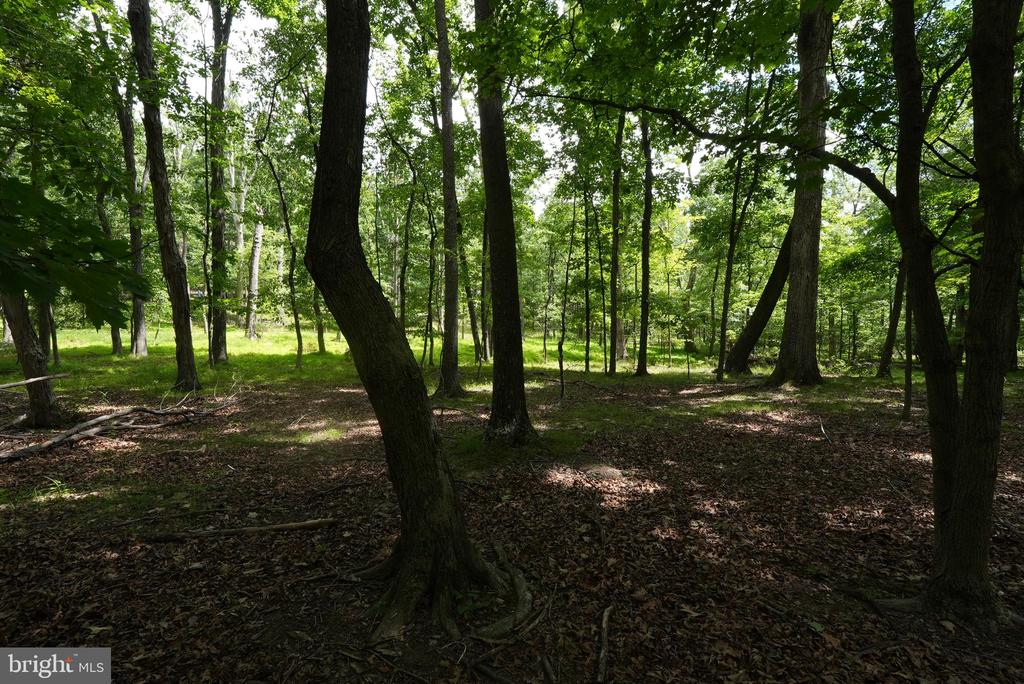 1917 S TIMBER RIDGE