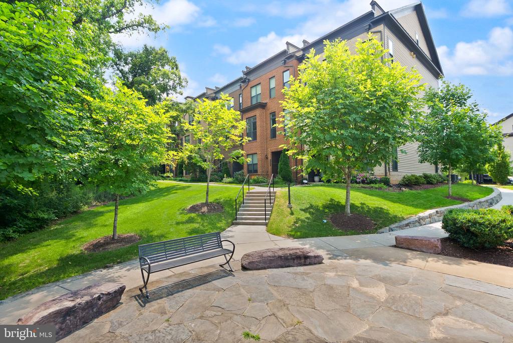 12239 SESSILE COMMONS