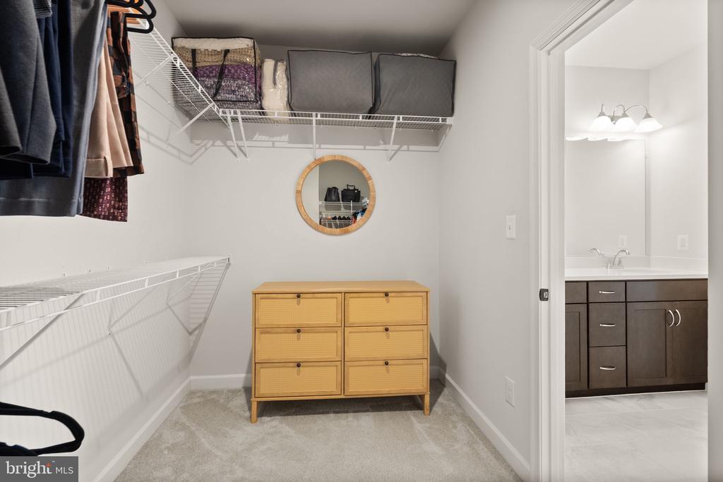 12239 SESSILE COMMONS