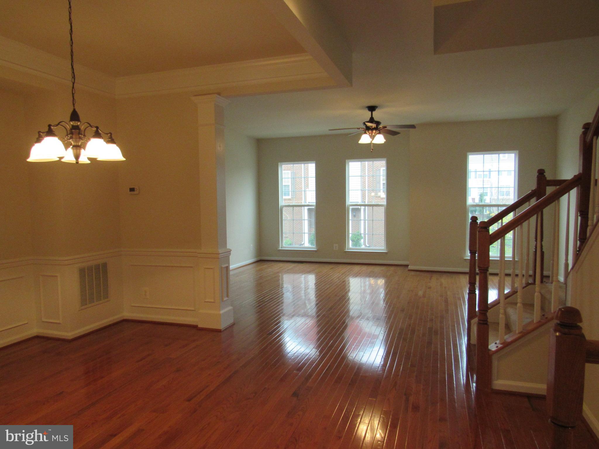 43601 SONORA SEED TER