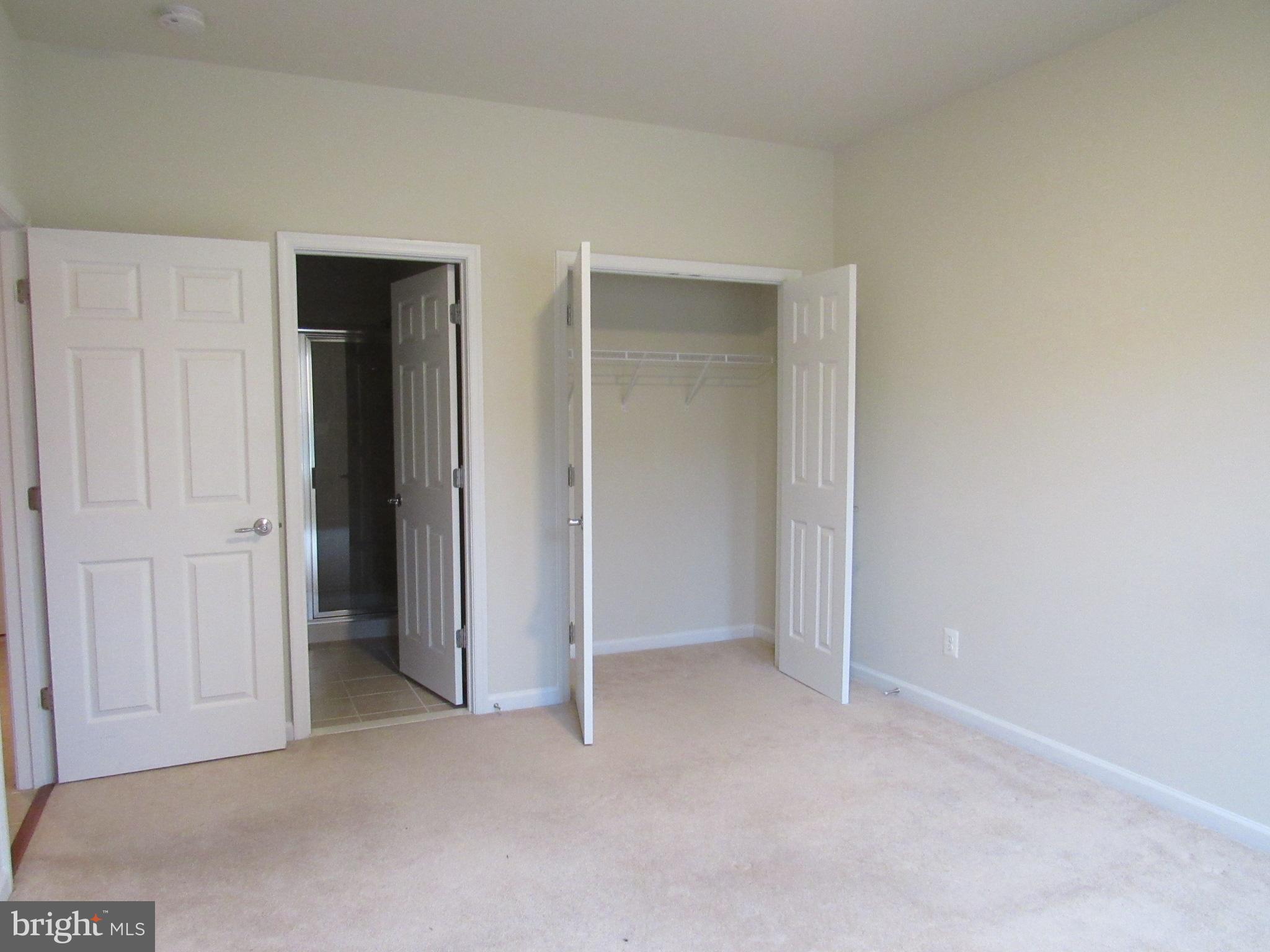 43601 SONORA SEED TER