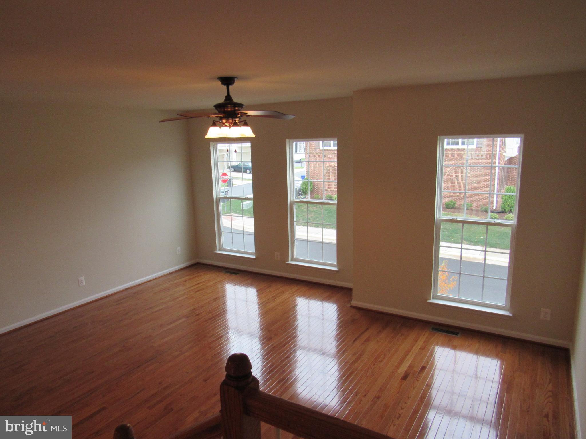 43601 SONORA SEED TER