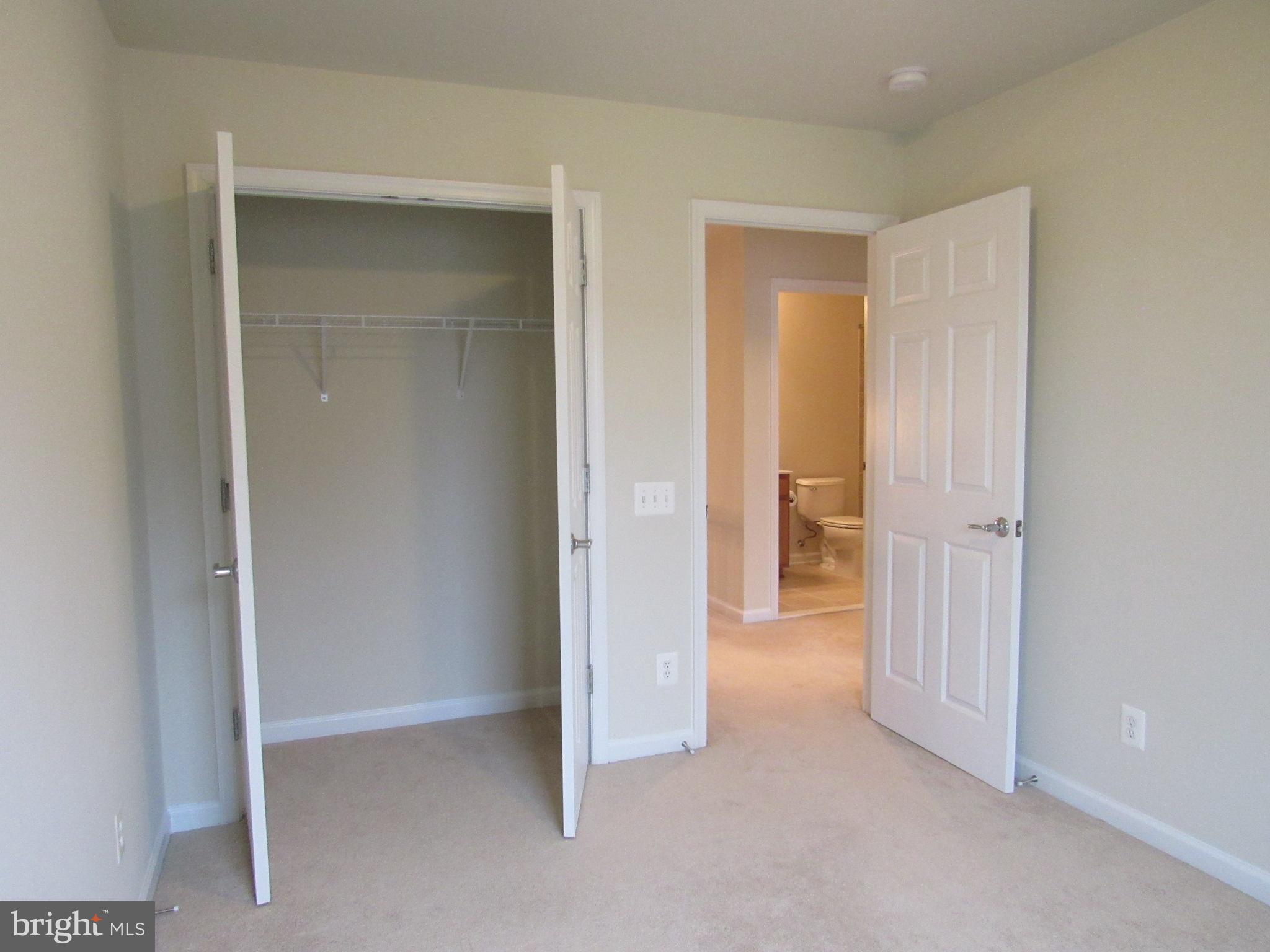 43601 SONORA SEED TER