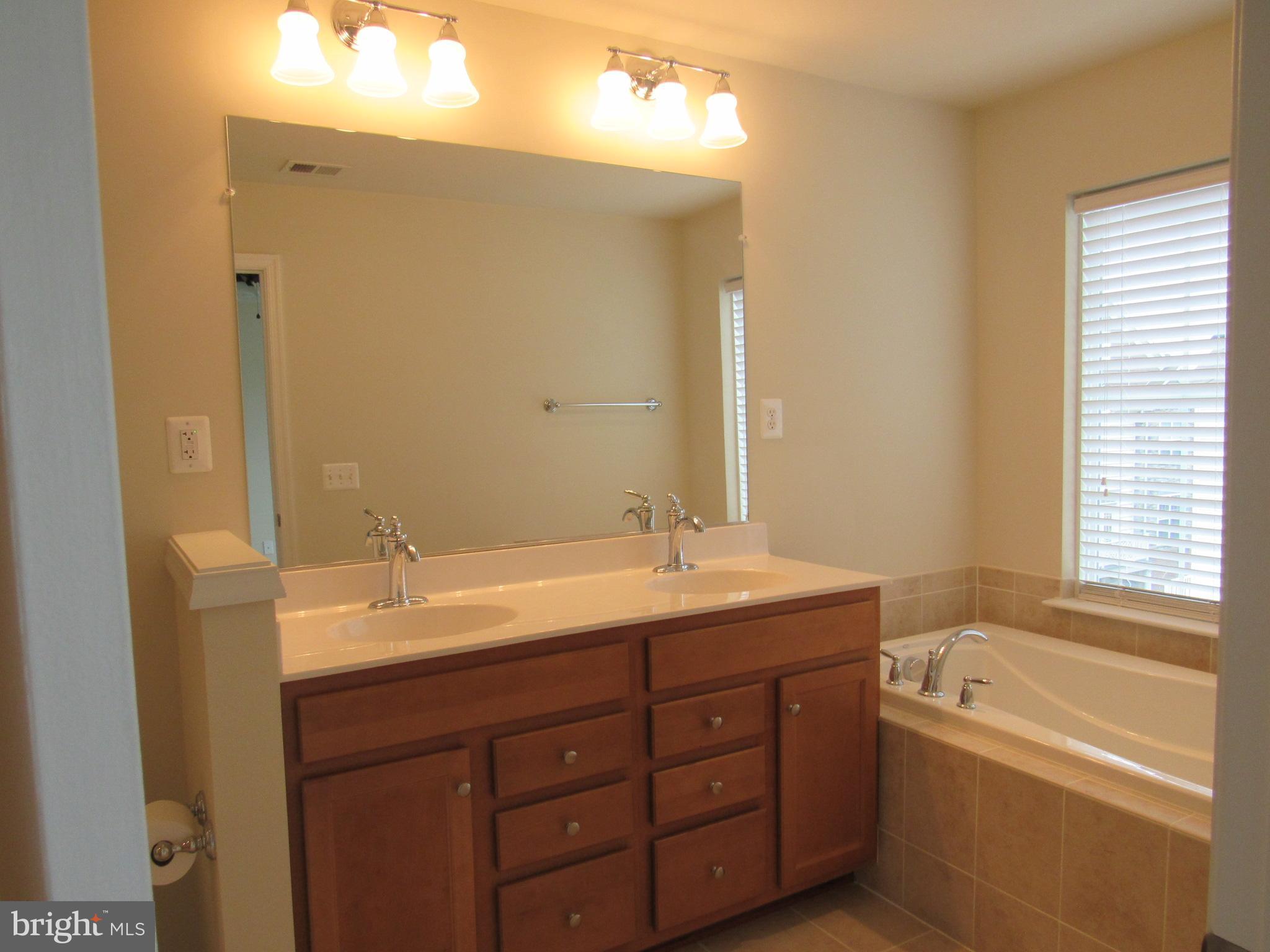 43601 SONORA SEED TER