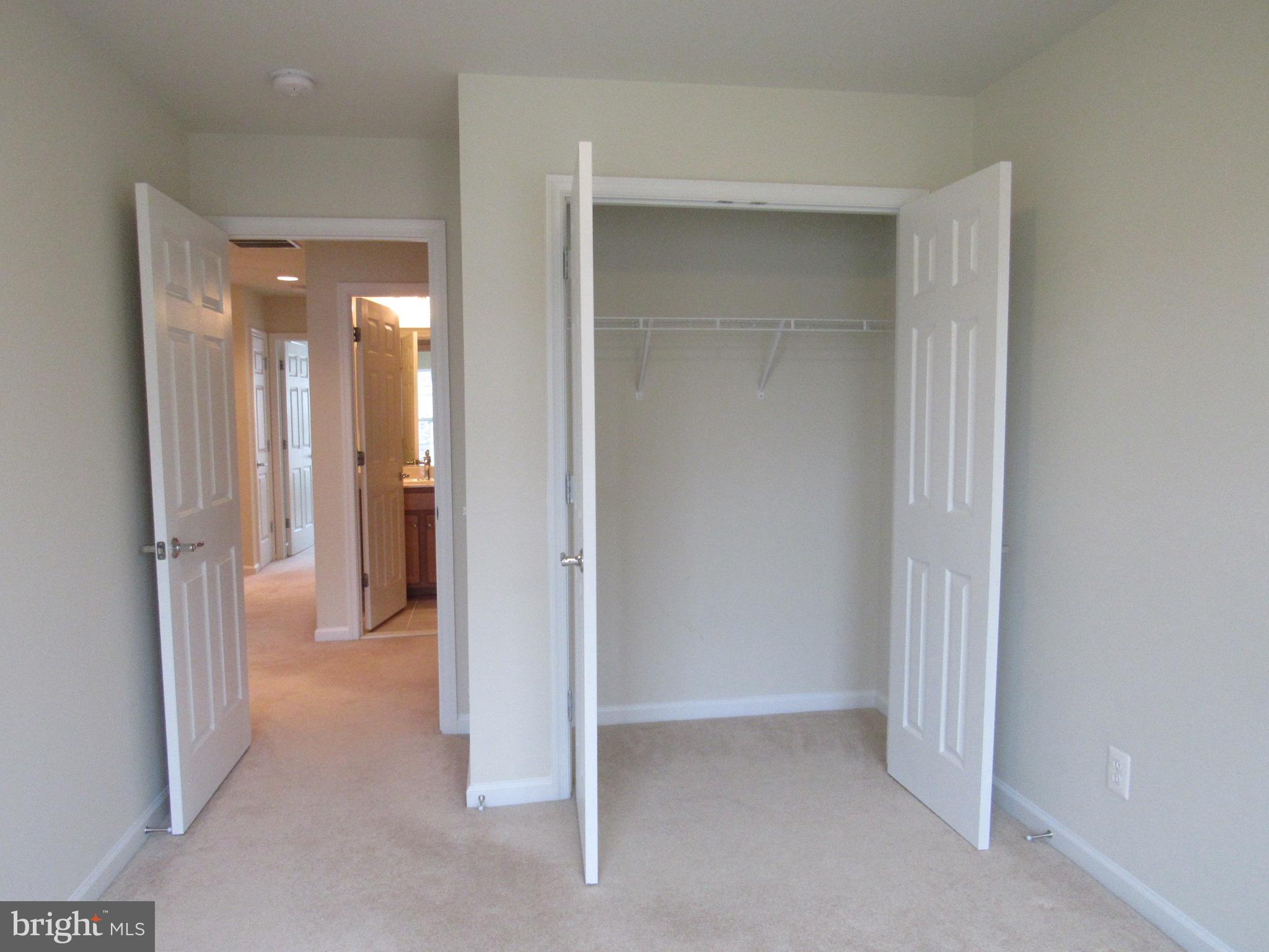 43601 SONORA SEED TER