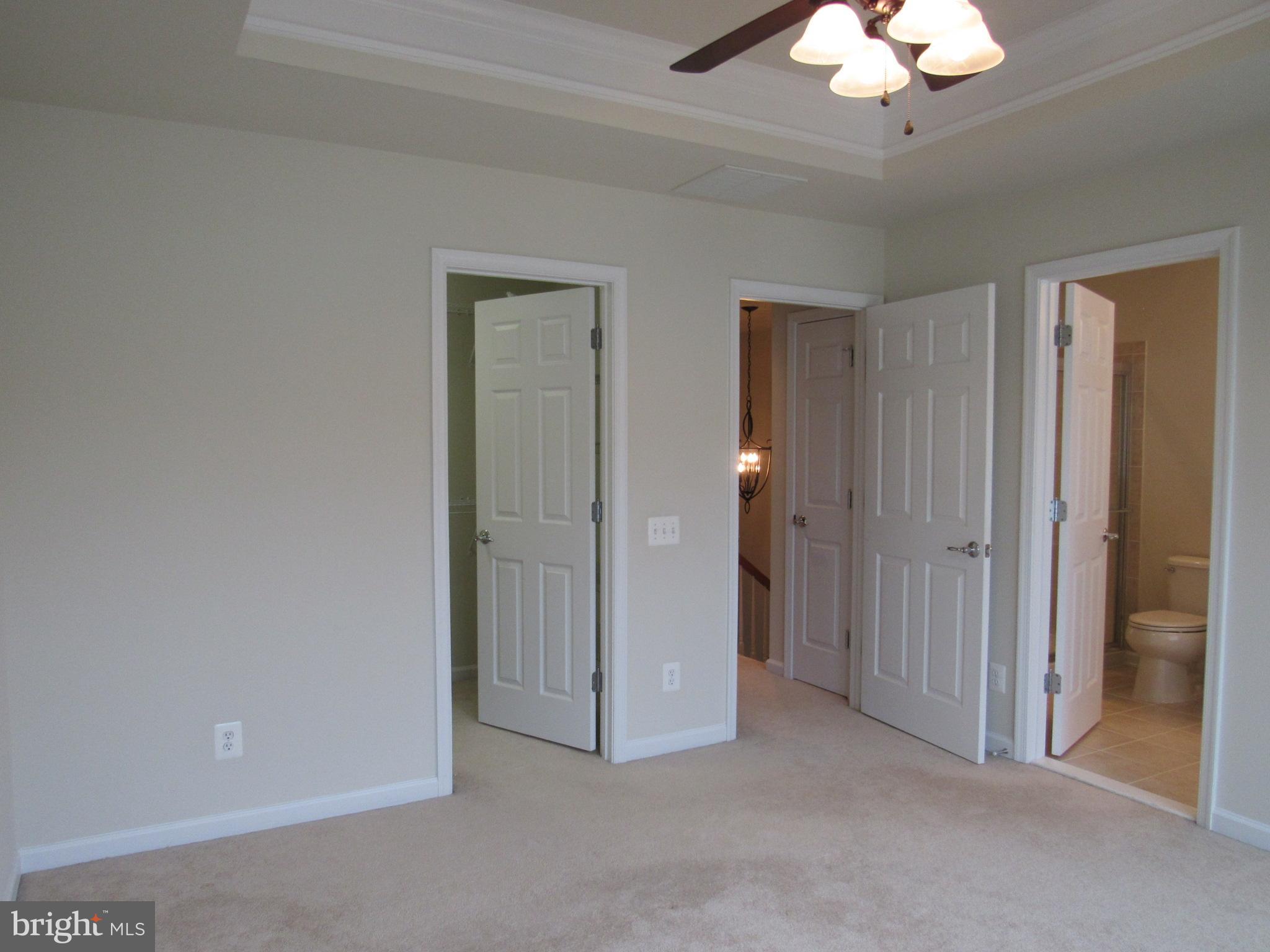 43601 SONORA SEED TER