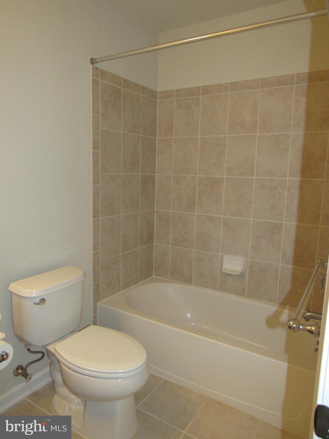 43601 SONORA SEED TER