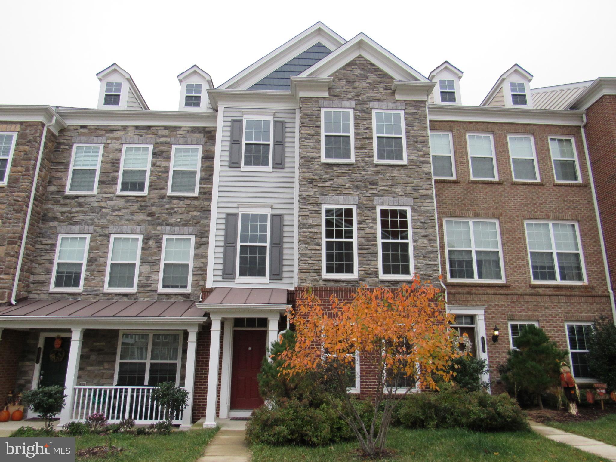 43601 SONORA SEED TER