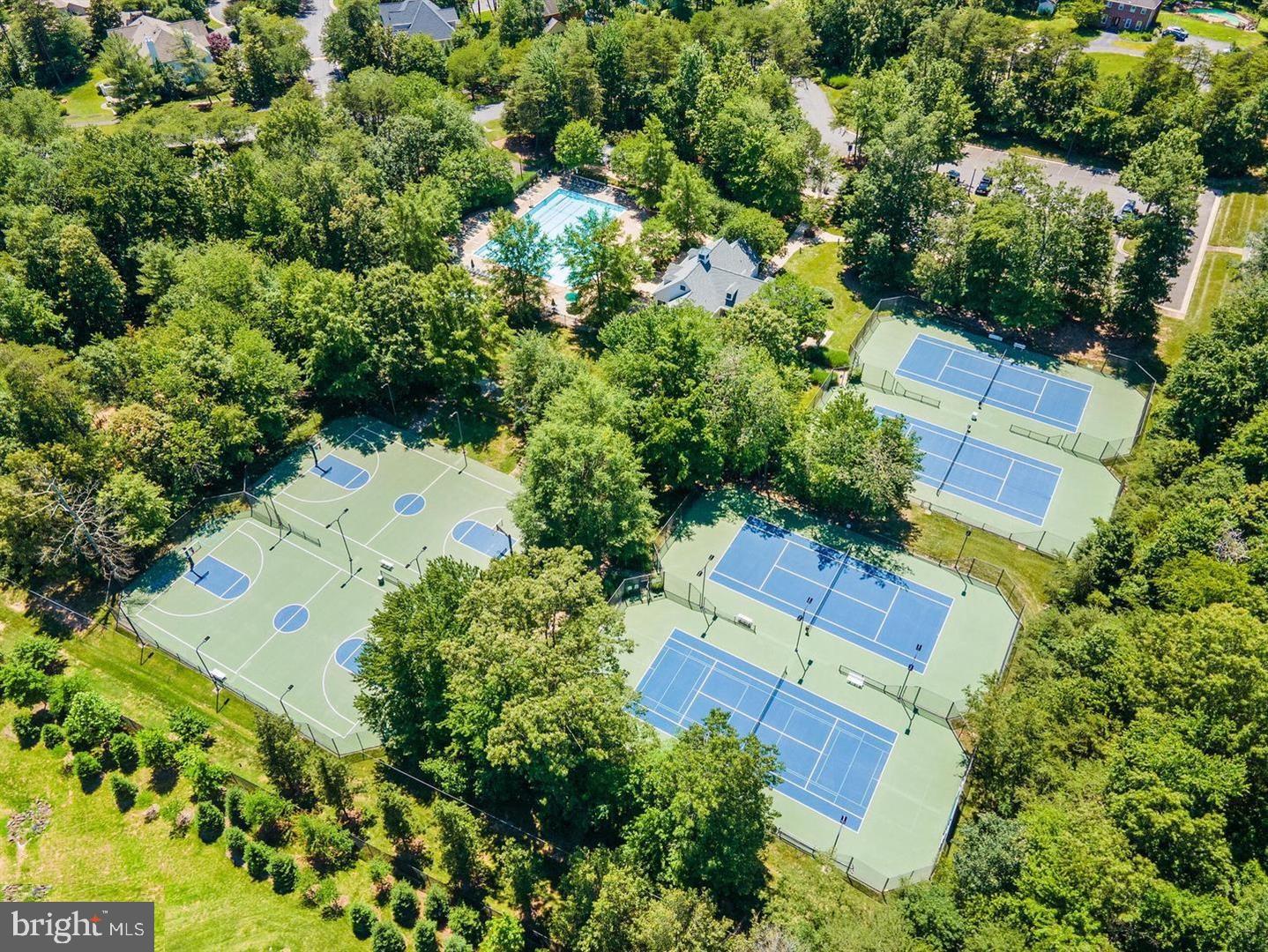 8366 Pedigrue Ct