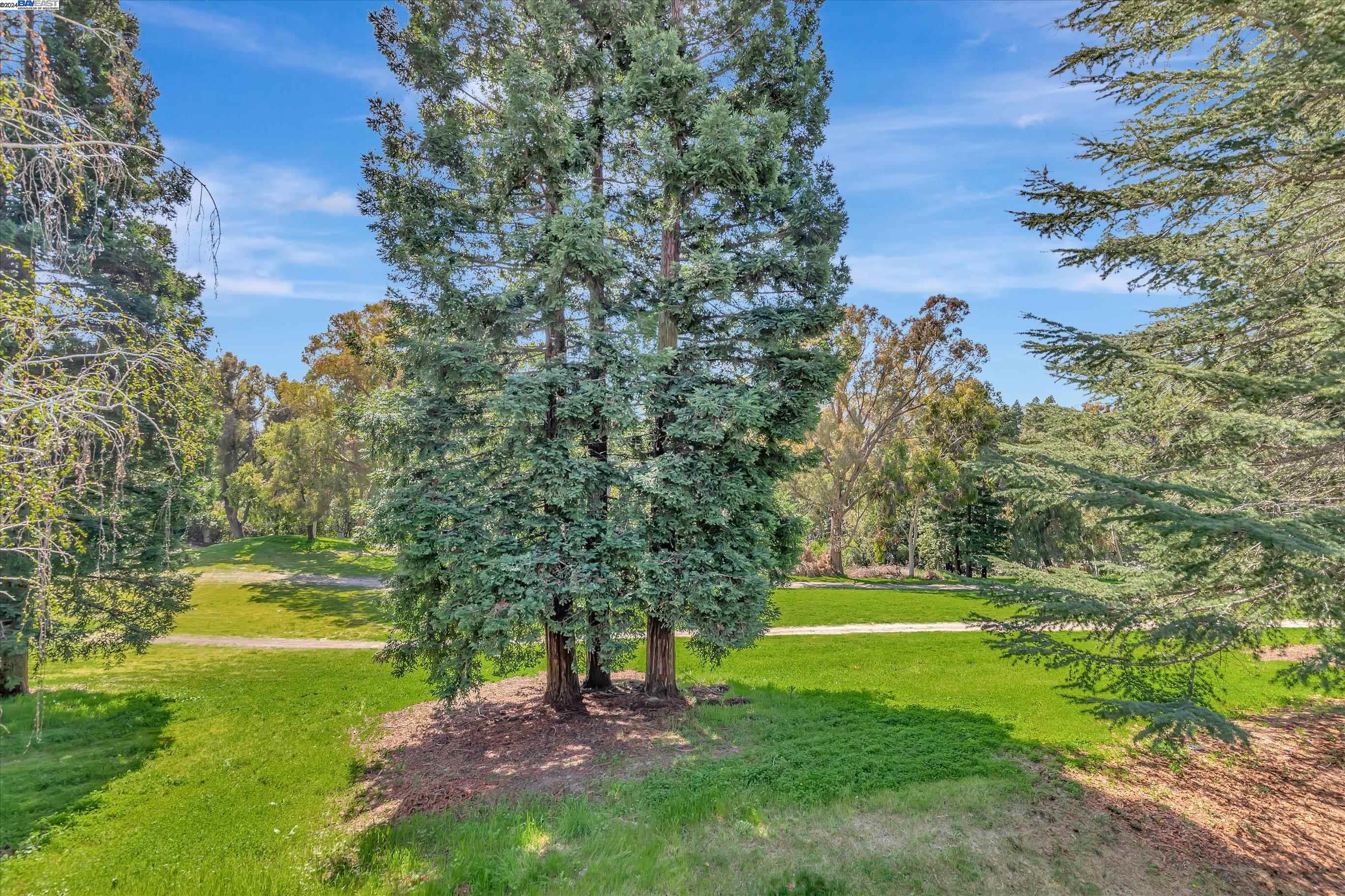 236 Canyon Woods Way # C