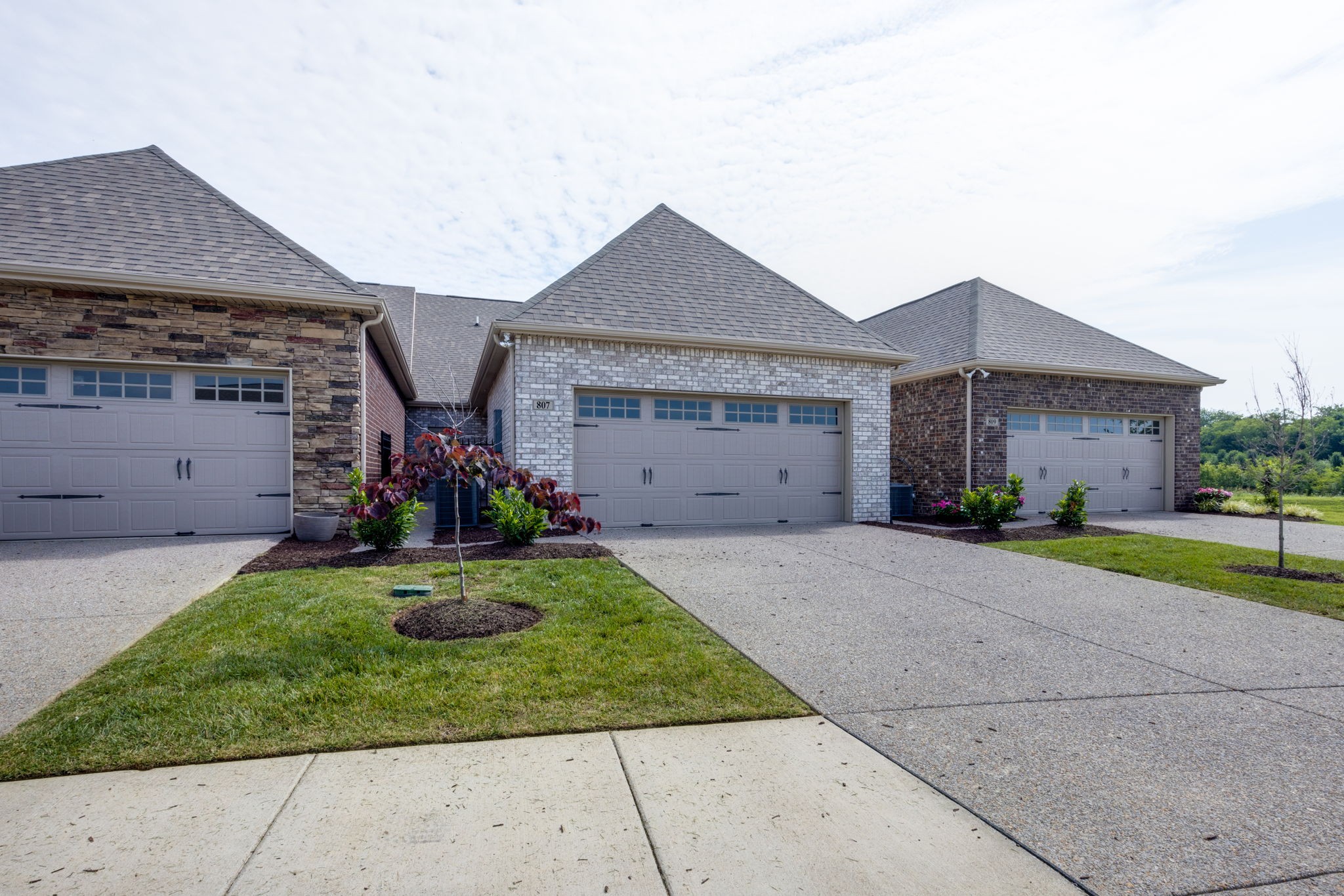 807 Arbon Vale Dr