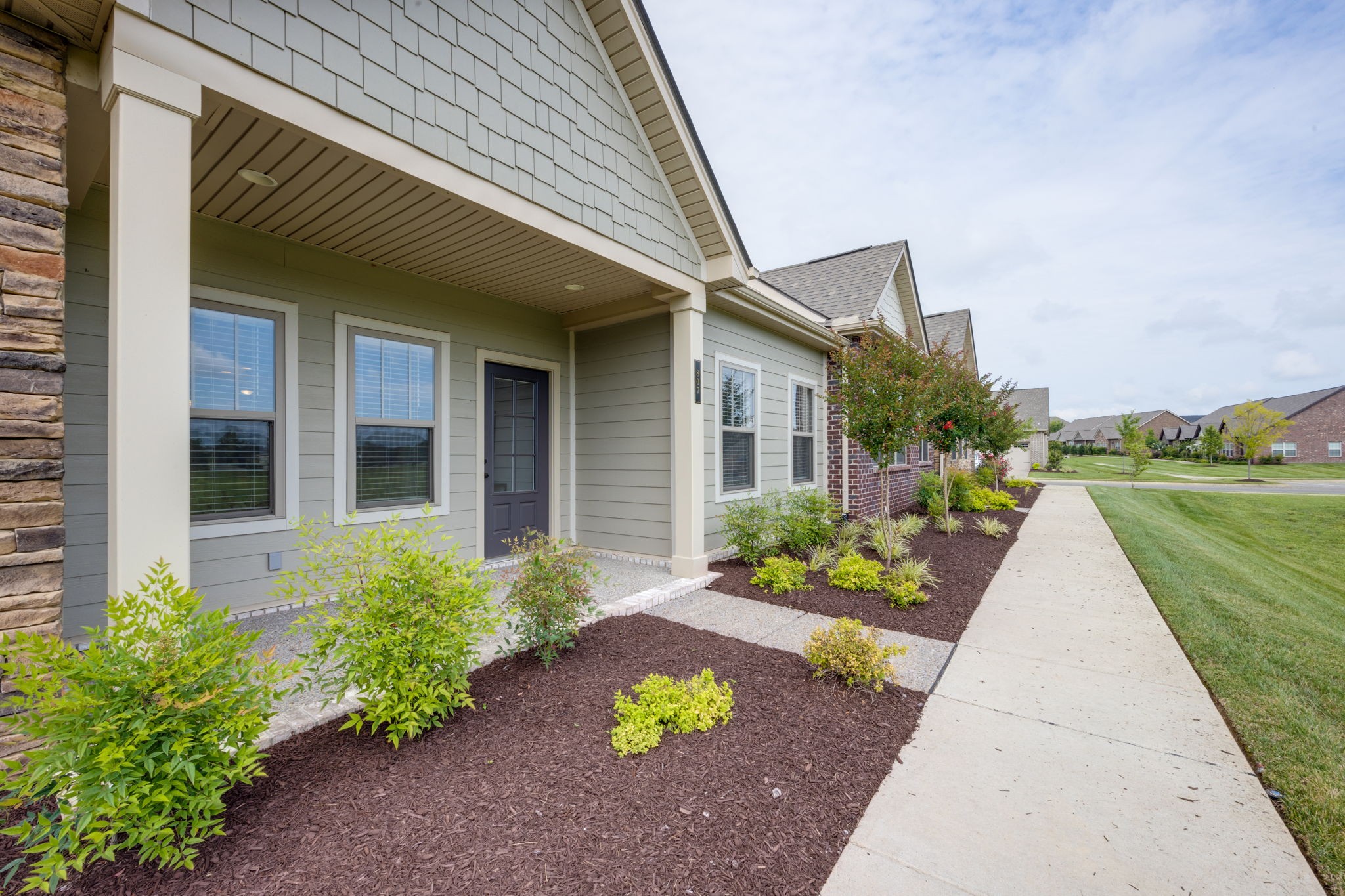 807 Arbon Vale Dr