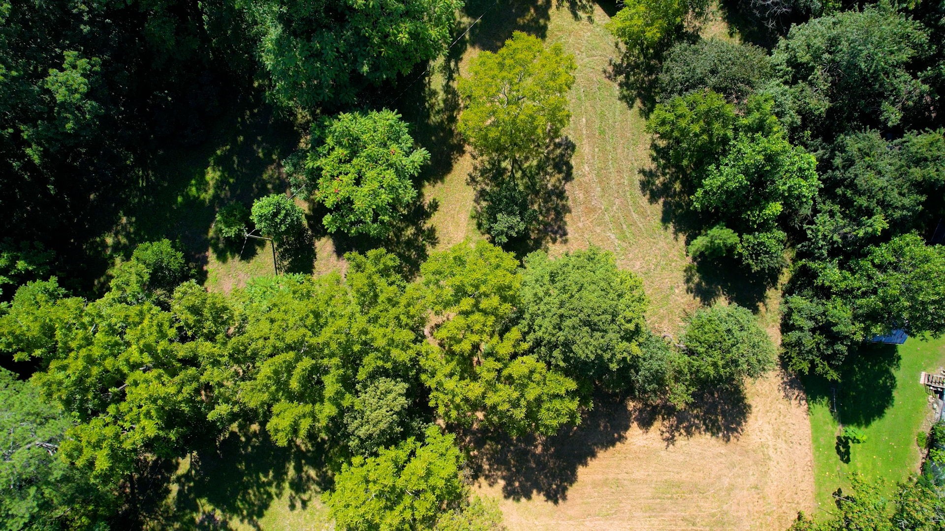 5947 Davis Hollow Rd