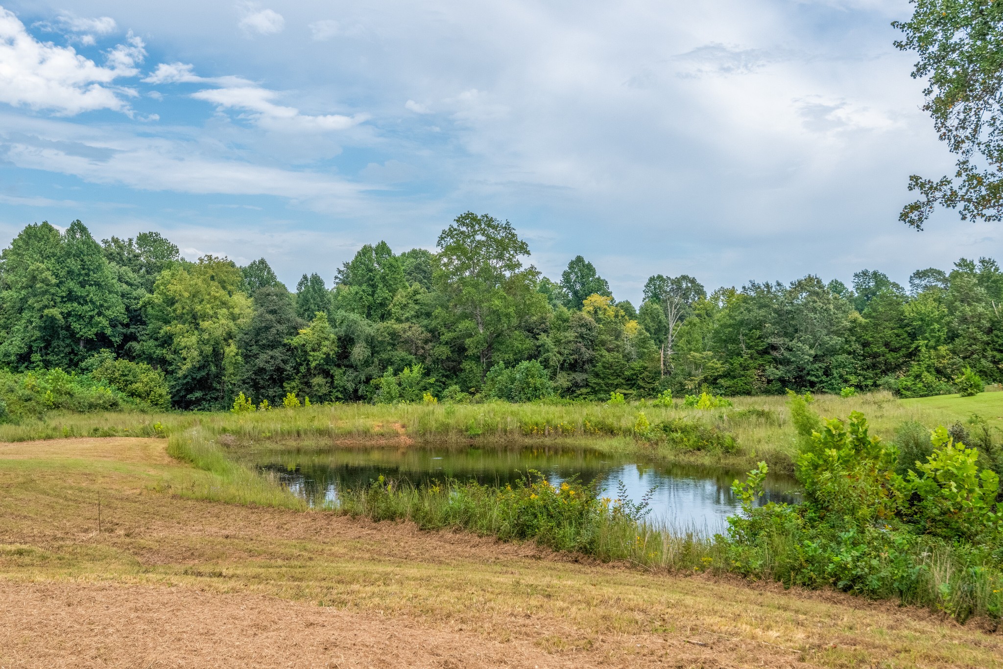 620 Nels Adams Rd