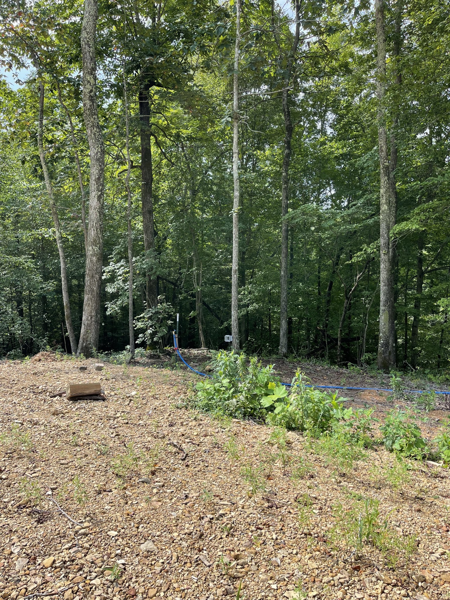 2033 White Oak Rd
