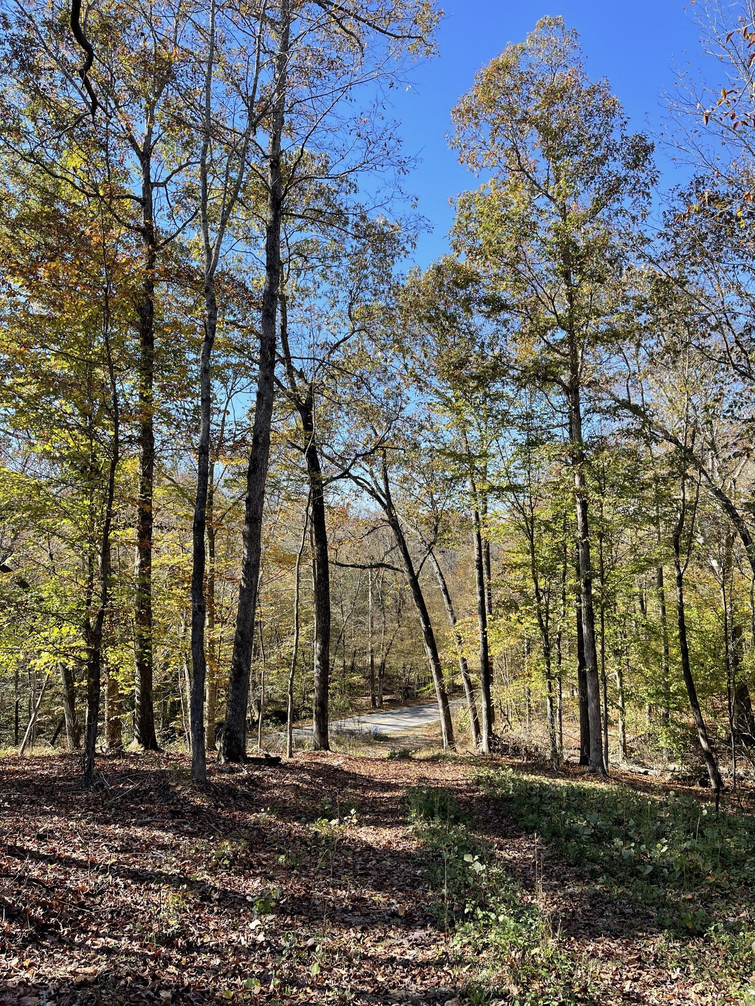 2033 White Oak Rd