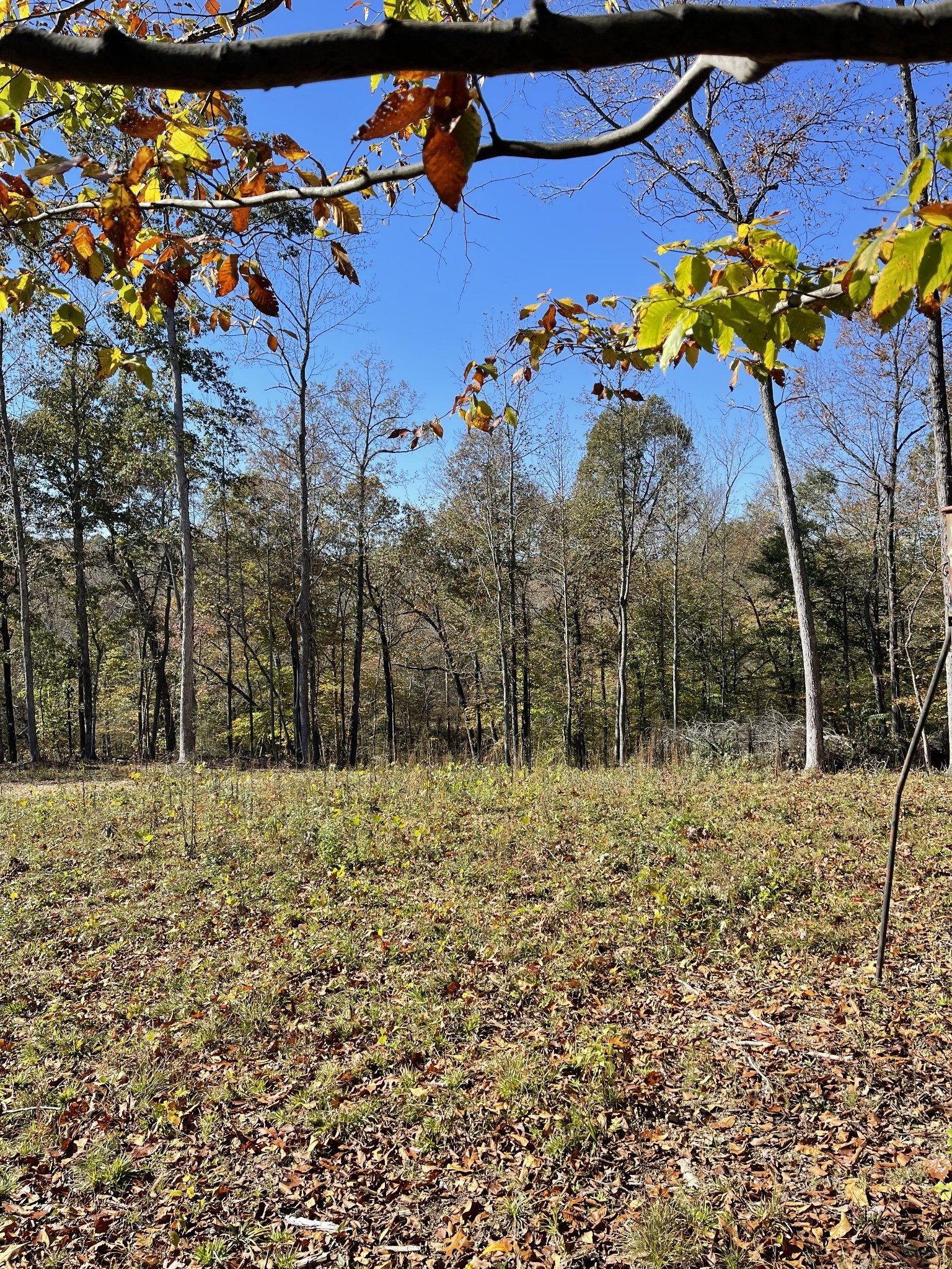 2033 White Oak Rd