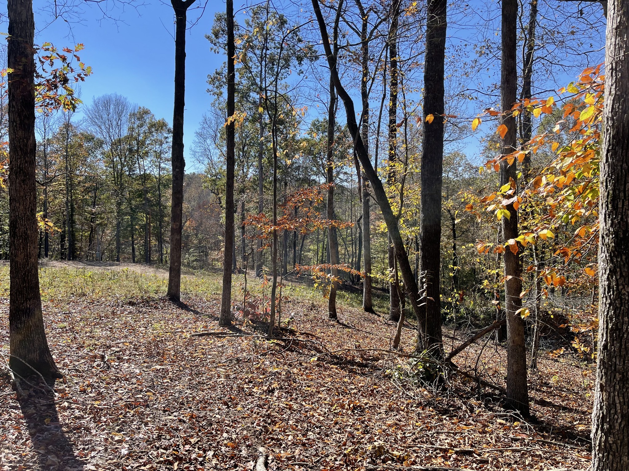 2033 White Oak Rd