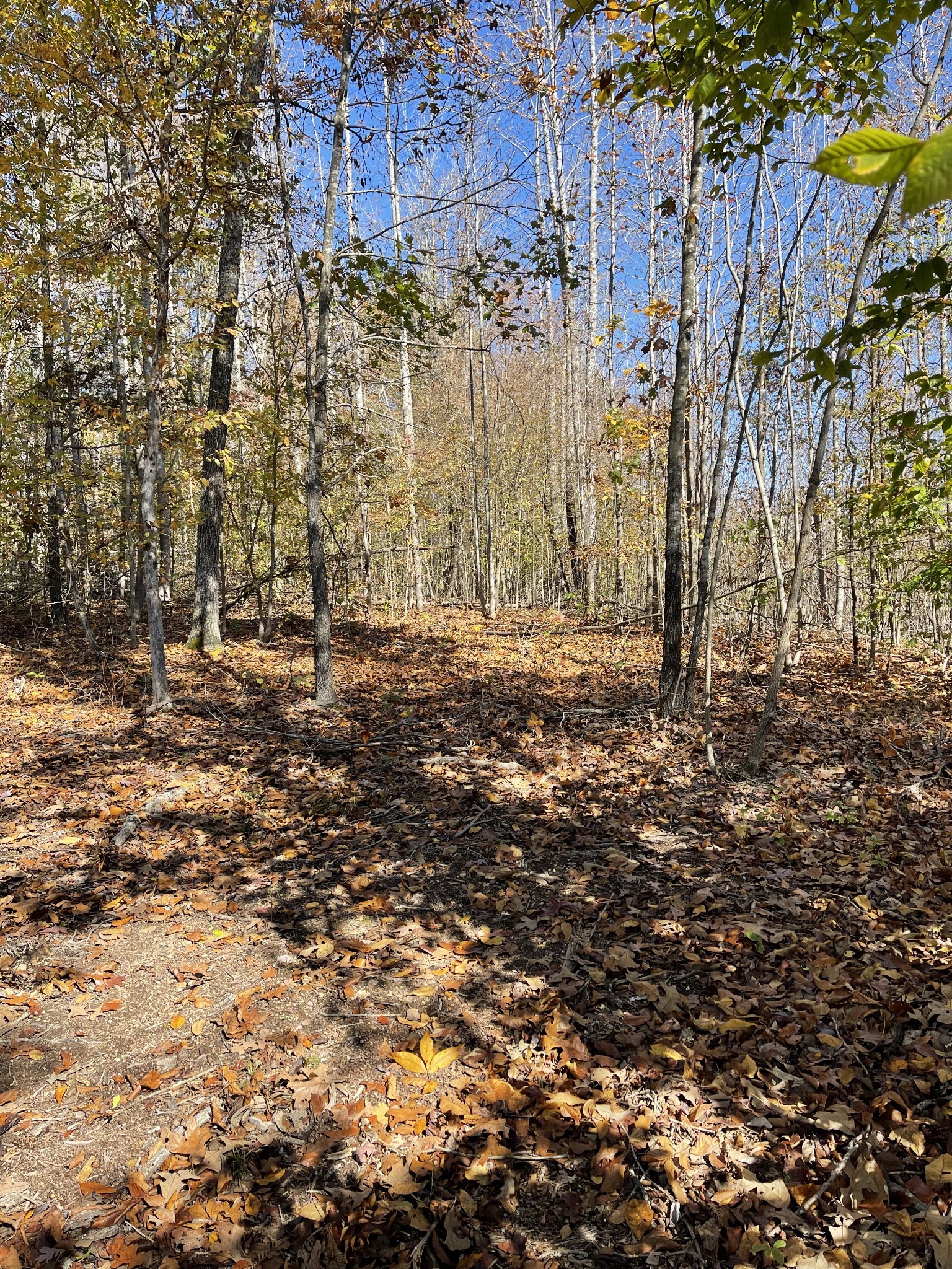 2033 White Oak Rd