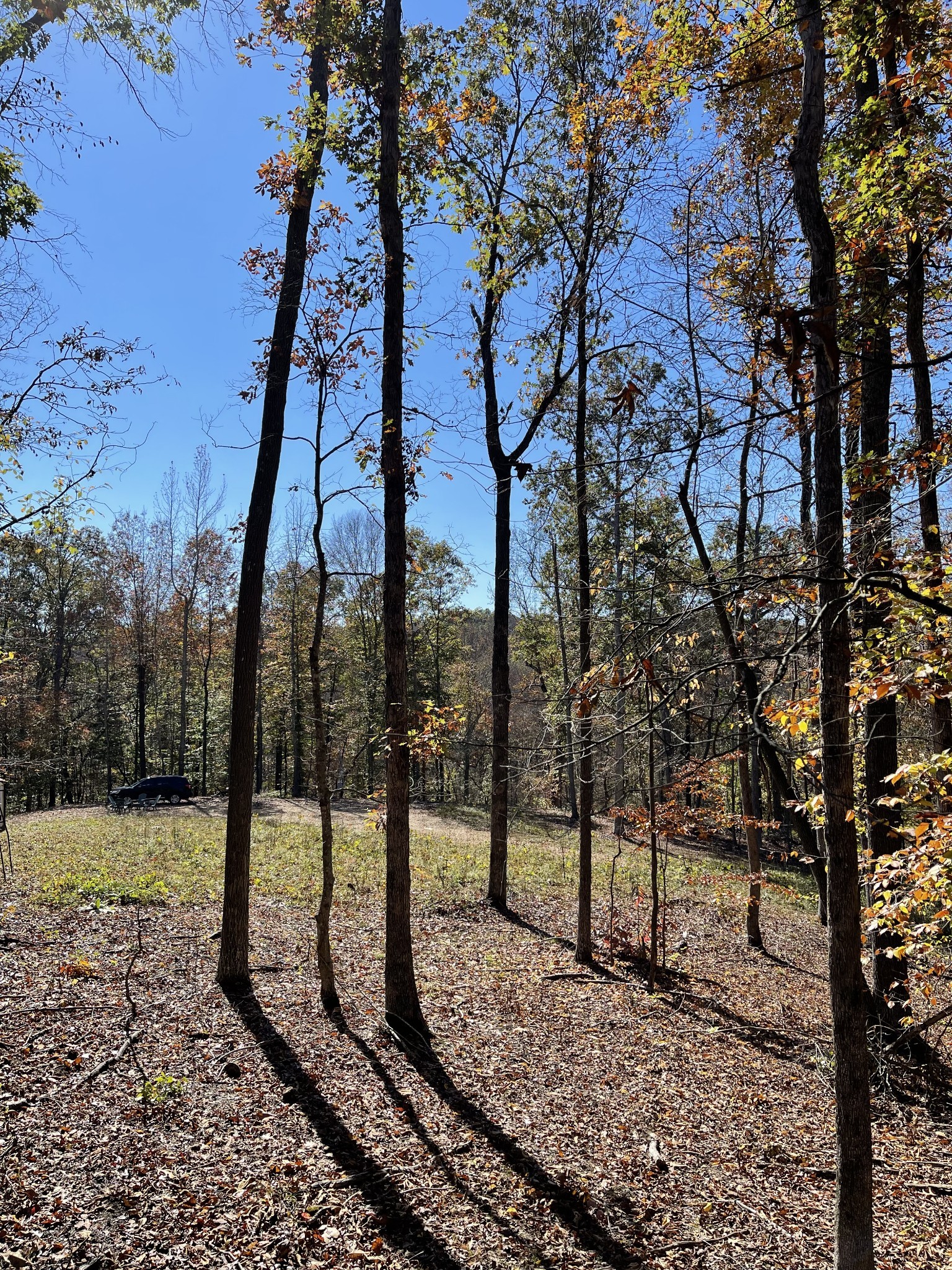 2033 White Oak Rd