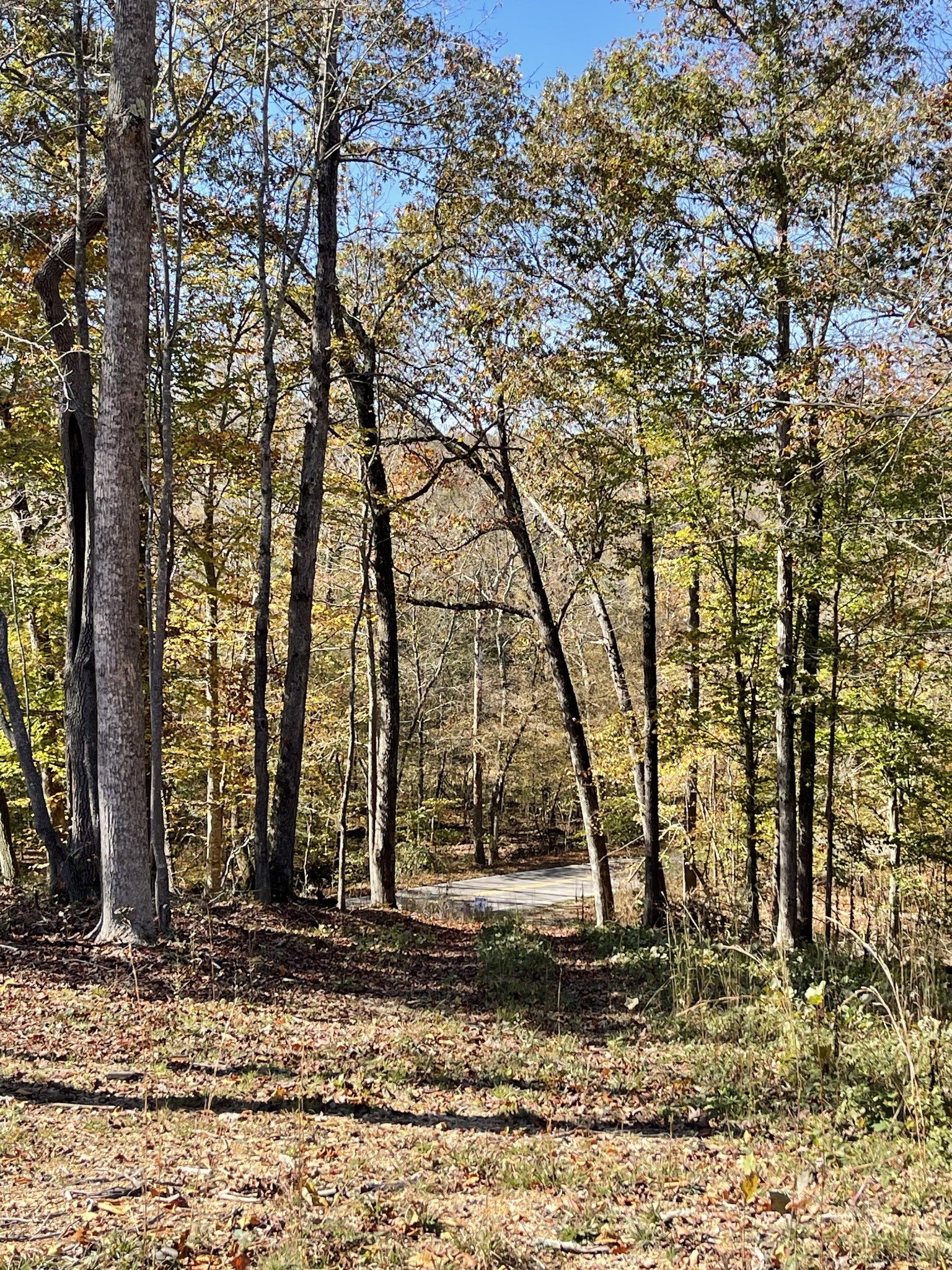2033 White Oak Rd