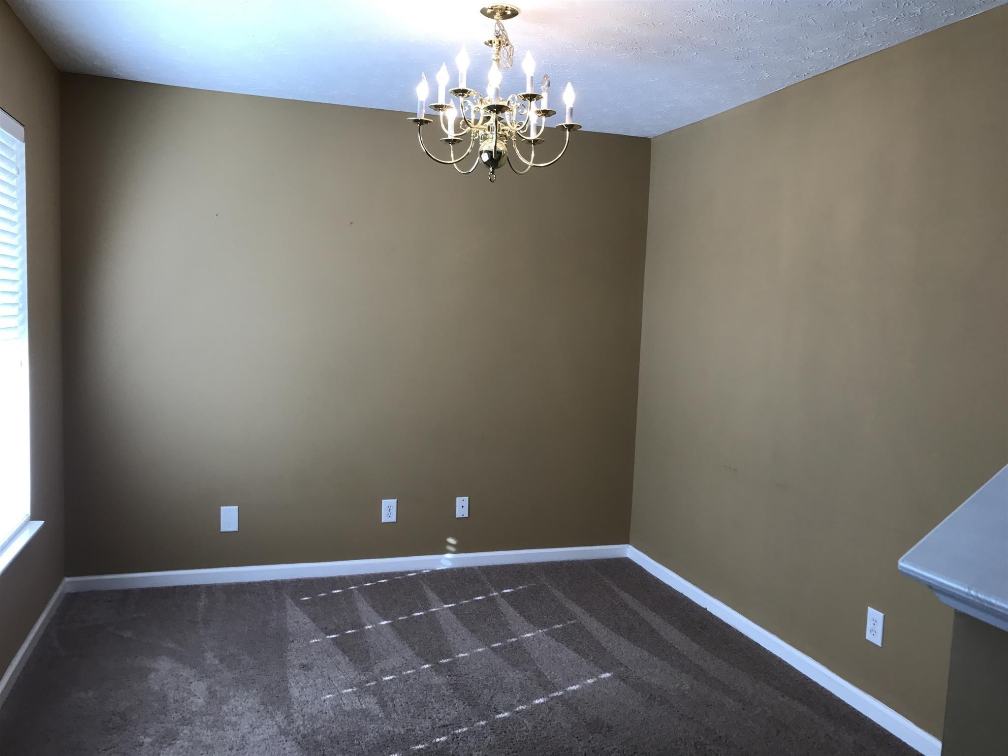 3429 Harpeth Springs Dr