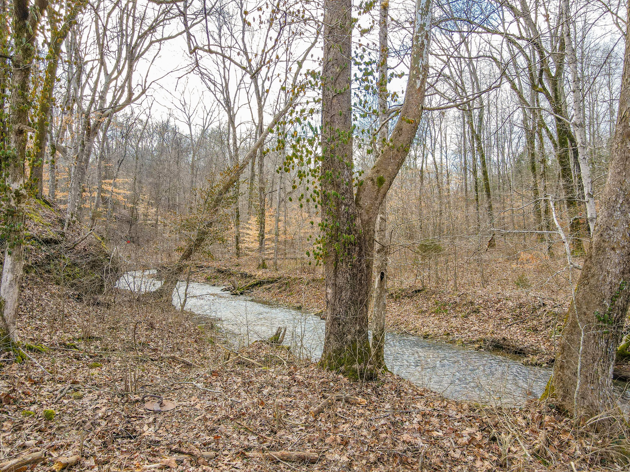 1801 Garrett Rd