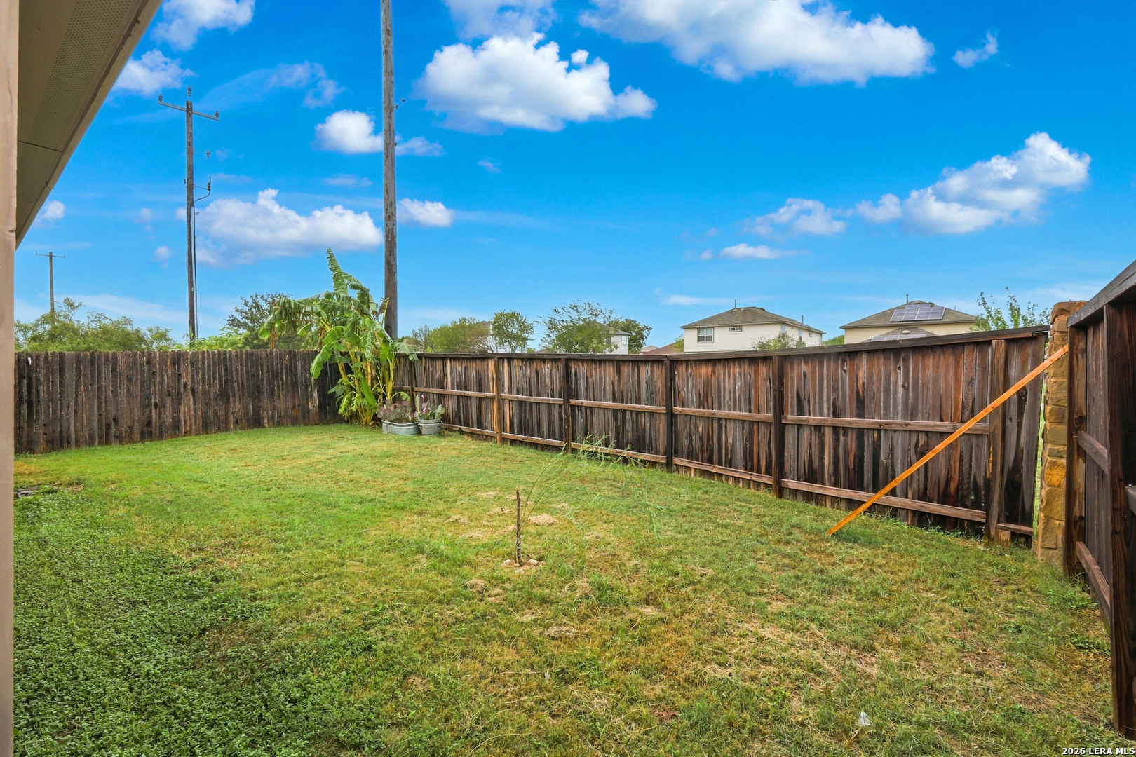 Fenced grassy backyard with banana plants and a young tree in the lawn.