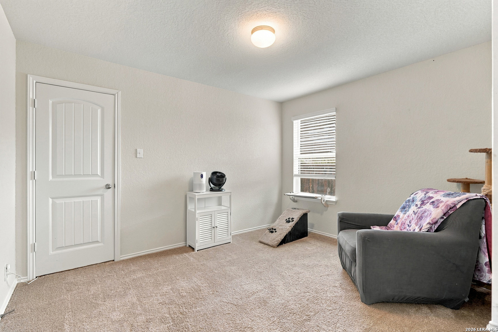Carpeted room with a gray loveseat, floral blanket, window blinds, and cat furniture.