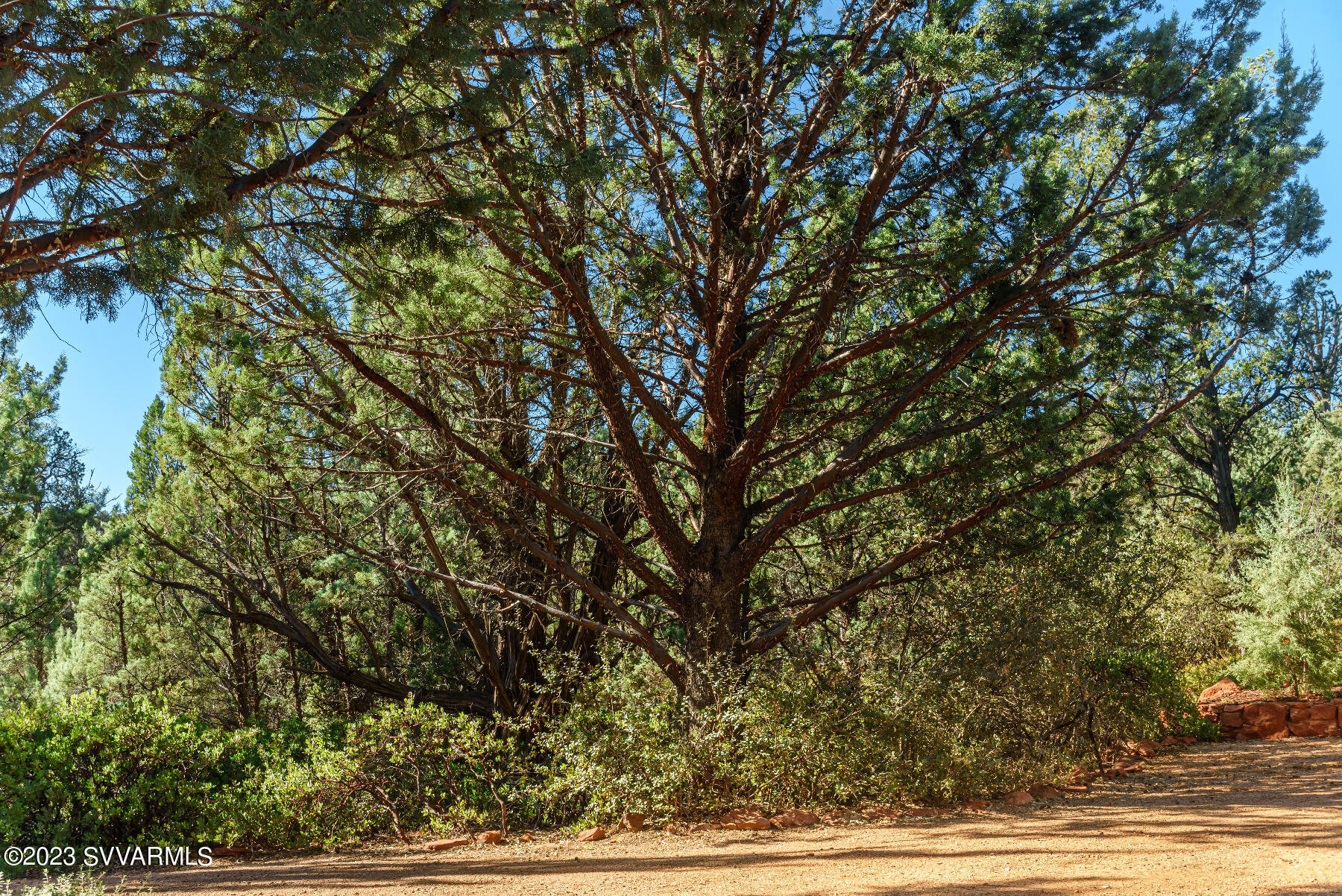 450 Little Scout Road