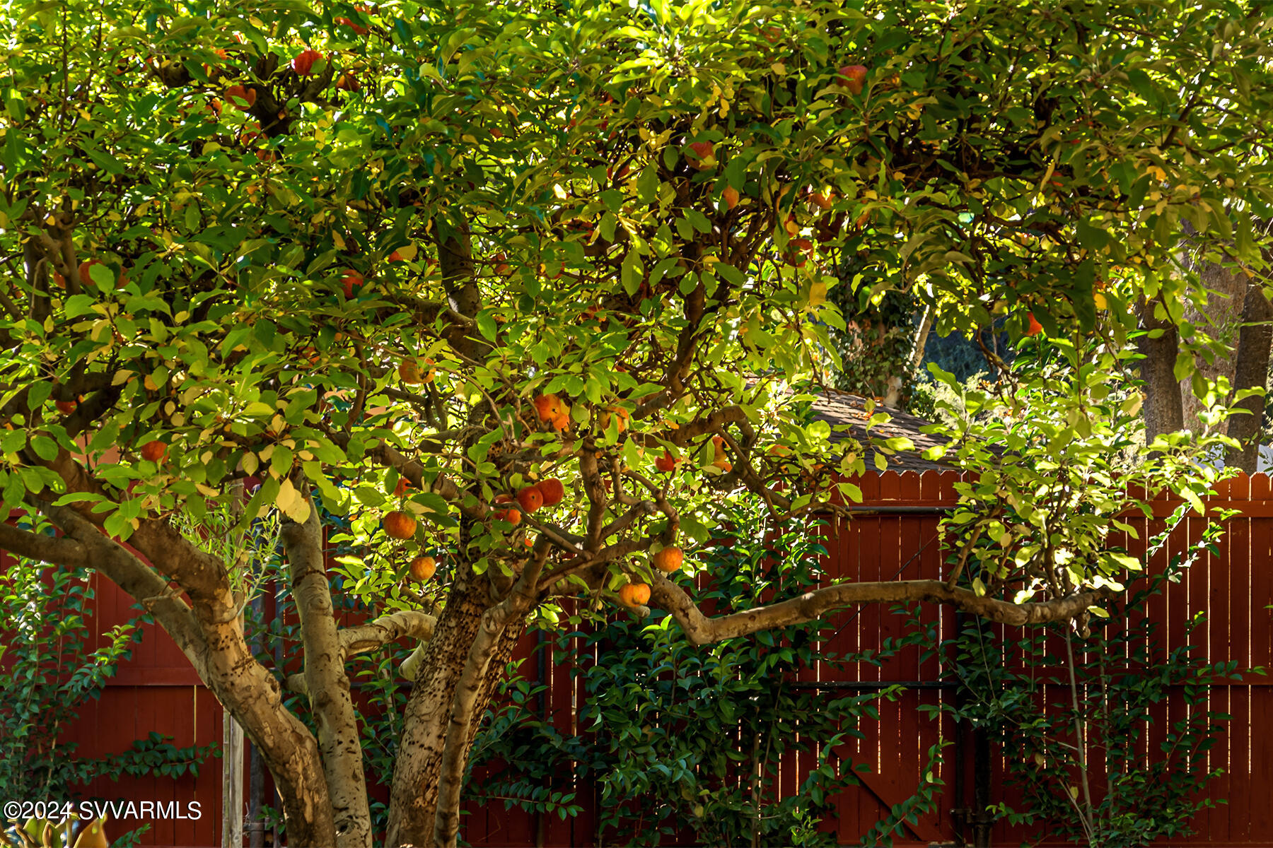 1096/1098 Trails End Drive