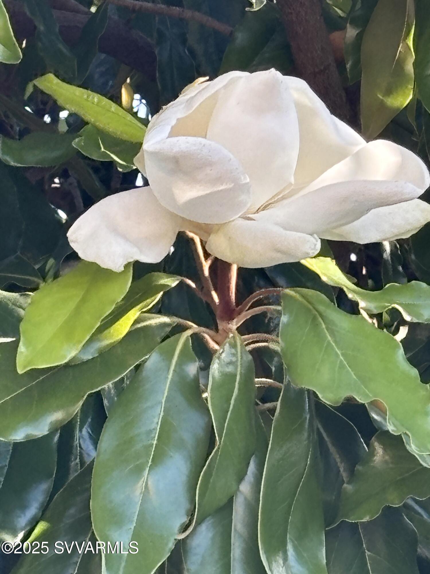 355 Indian Cliffs Road