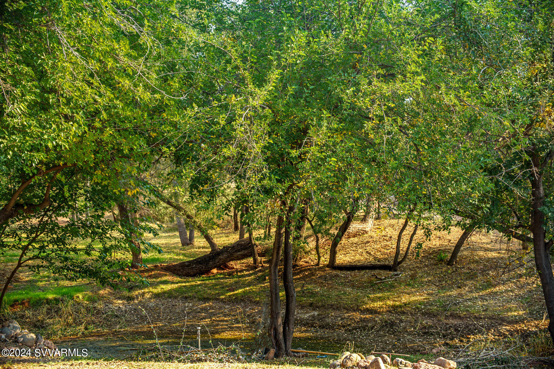 10647 E SWINGING BRIDGE Lane