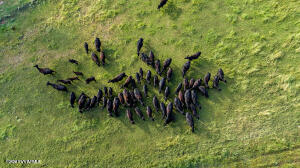 10647 E SWINGING BRIDGE Lane