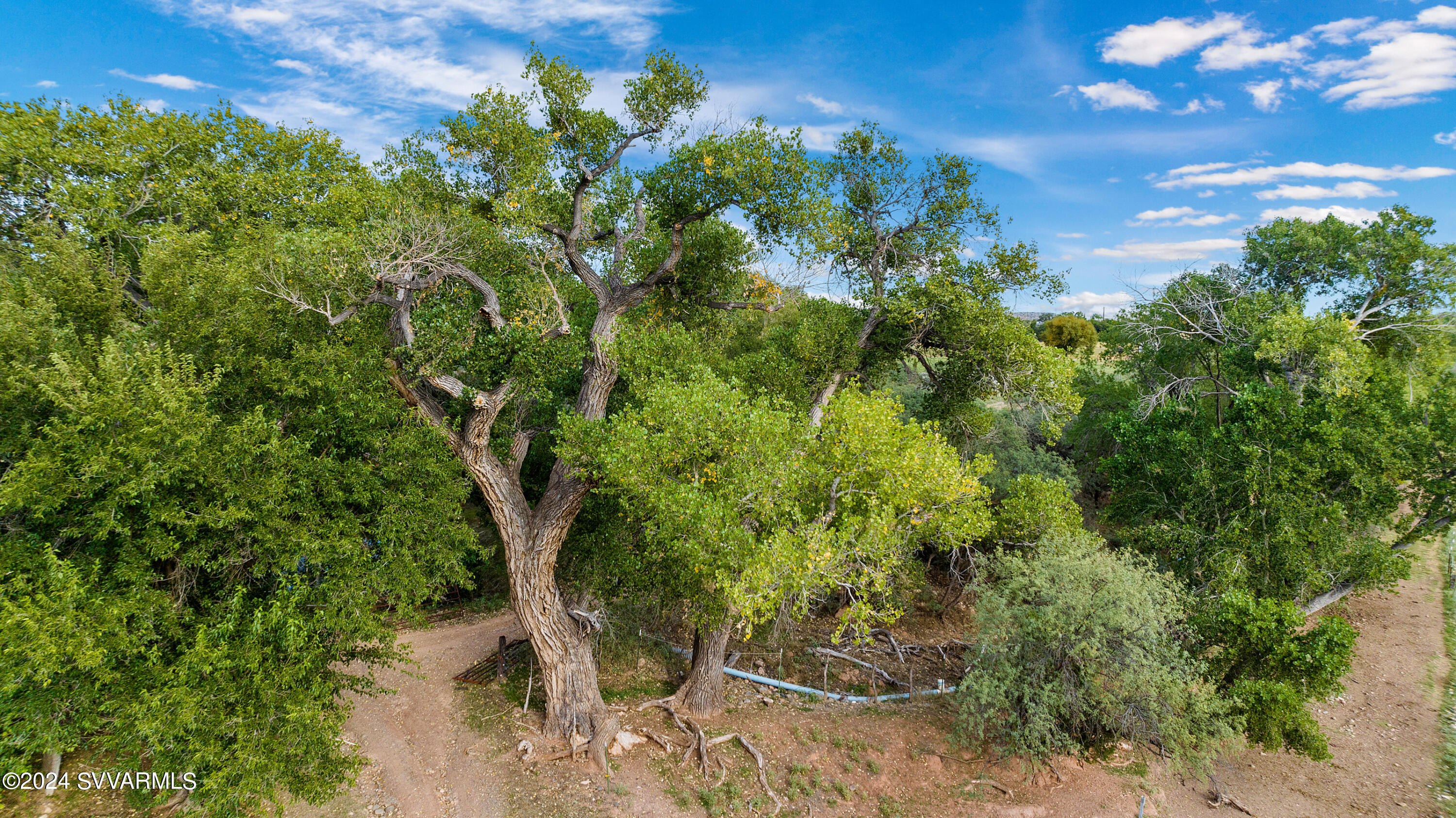 10647 E SWINGING BRIDGE Lane