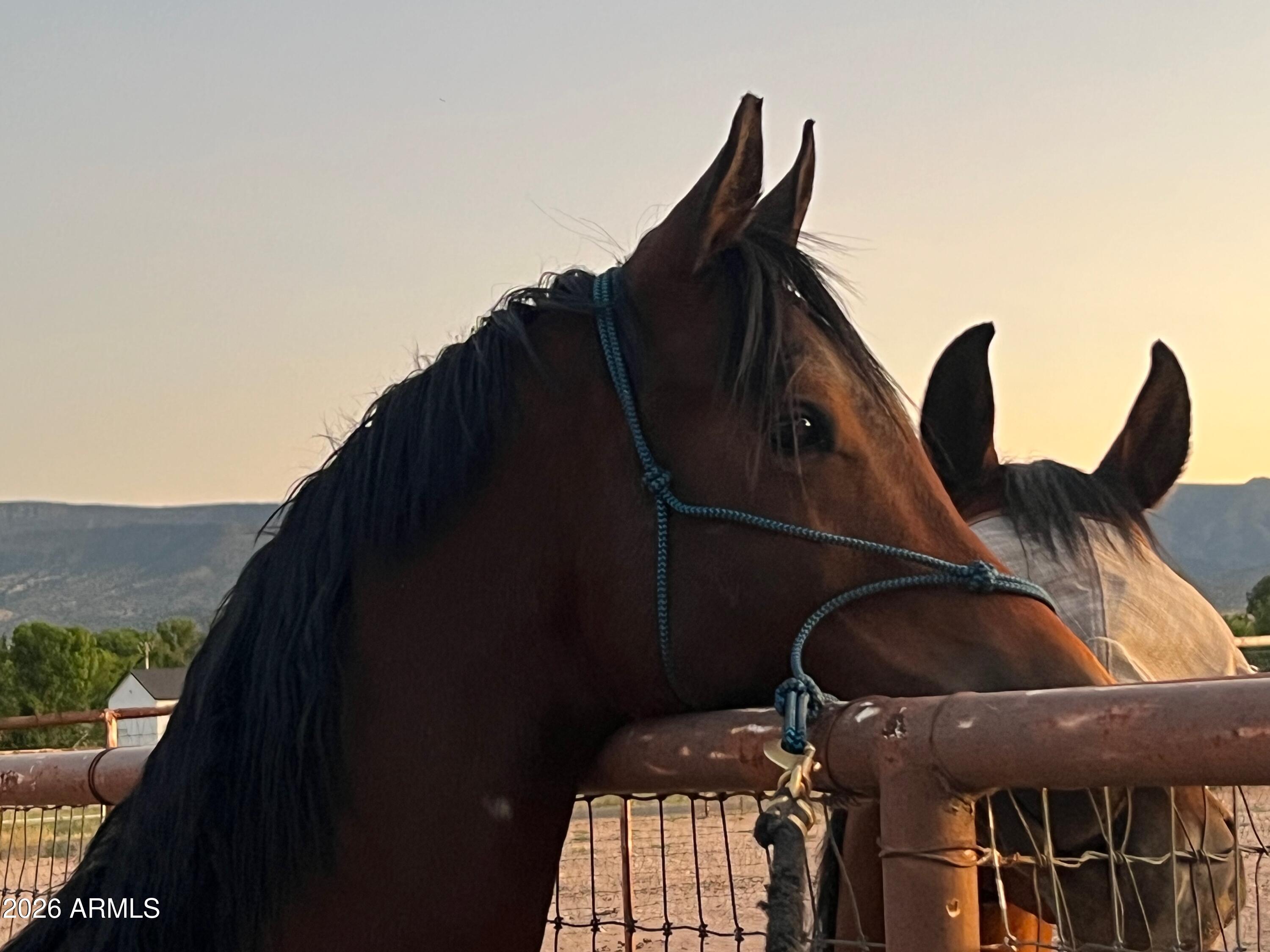 2770 S Country Hill Road