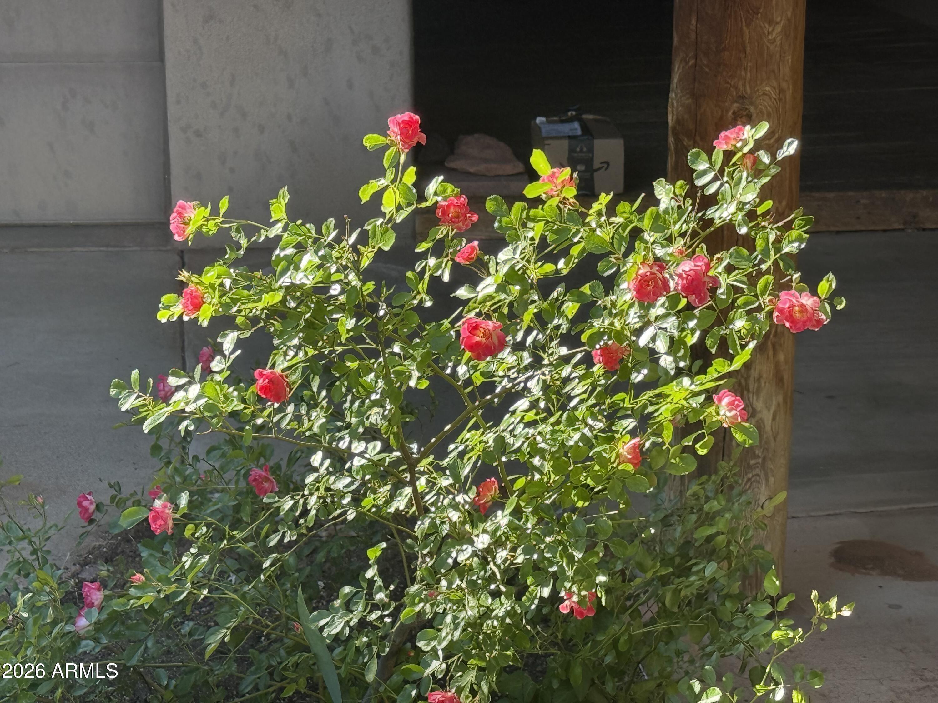 80 Adobe Trail
