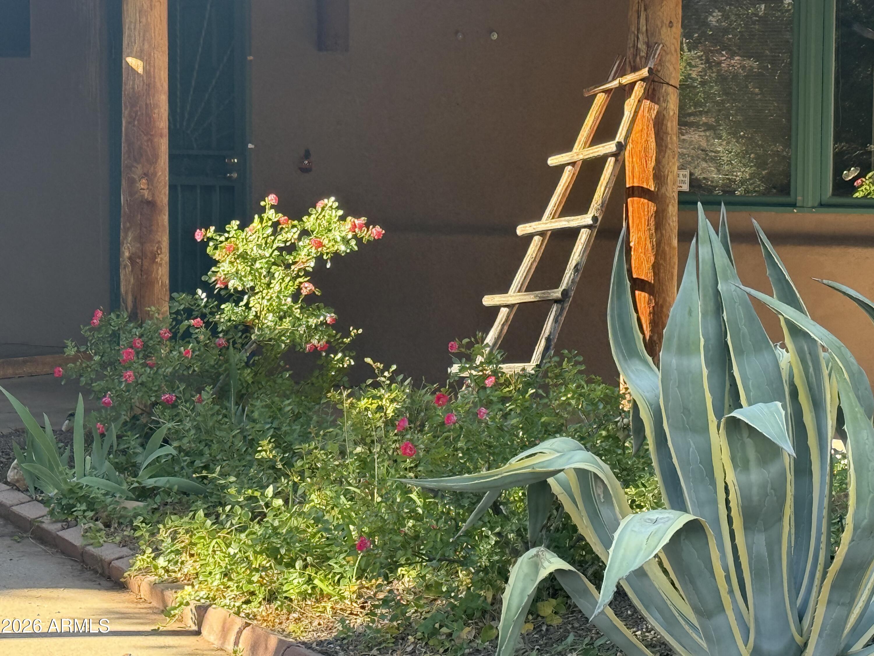 80 Adobe Trail