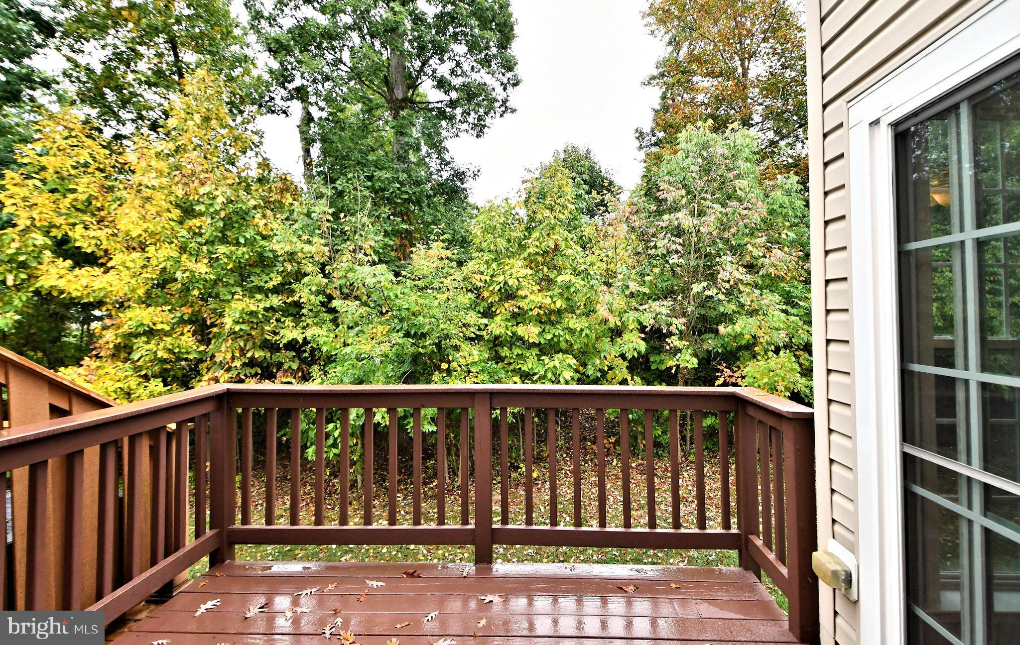 202 HUDSON DRIVE