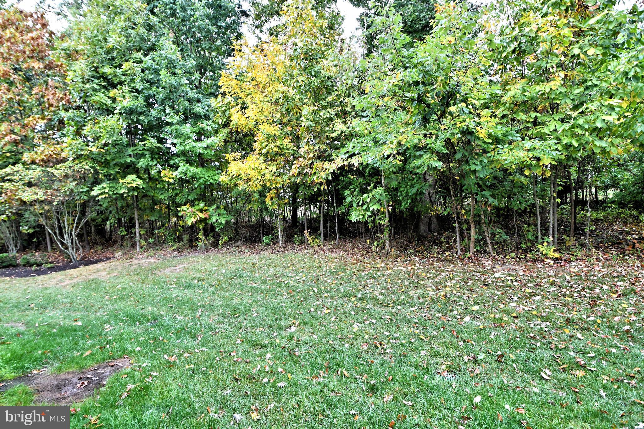 202 HUDSON DRIVE