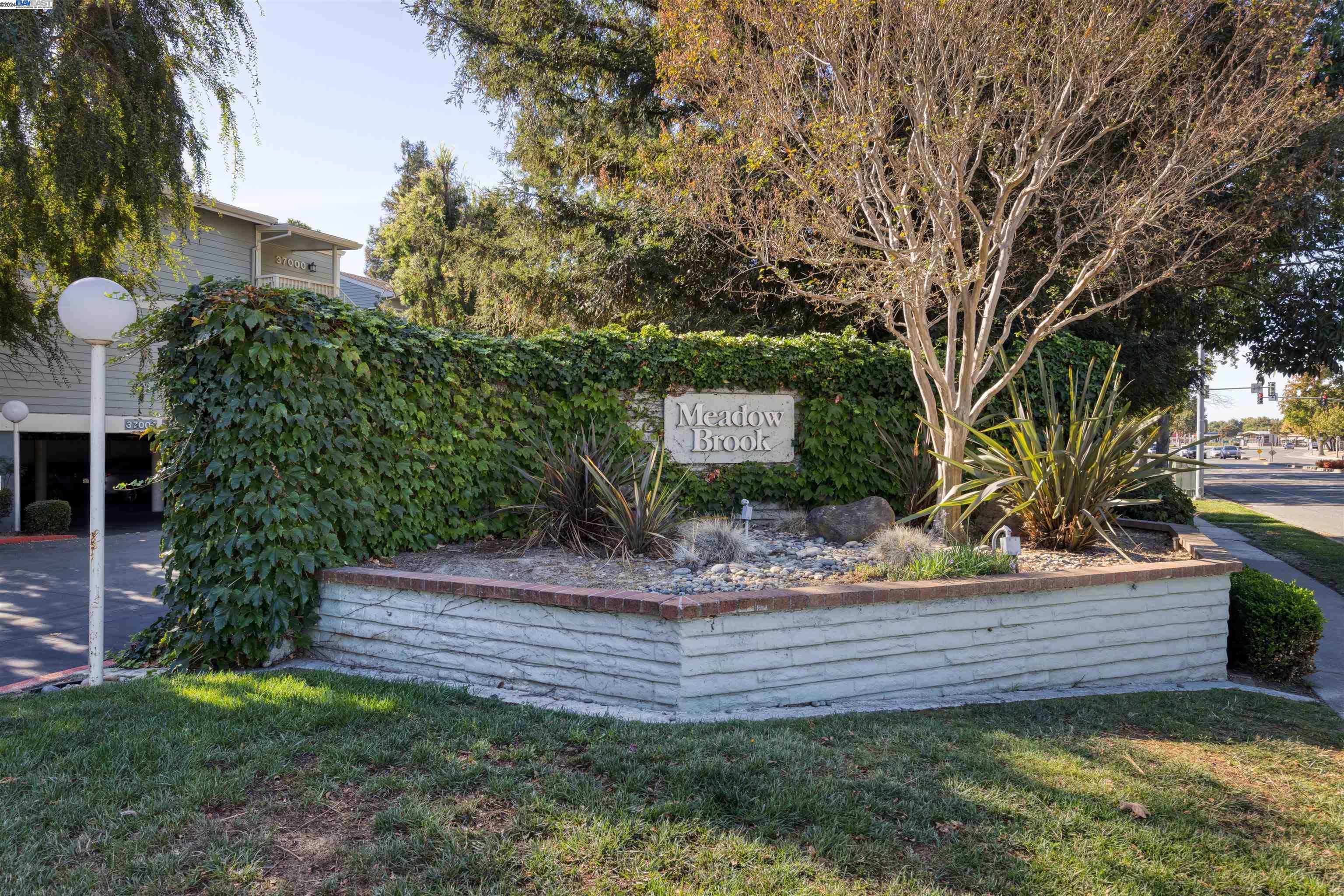 36992 Meadowbrook Cmn # 101