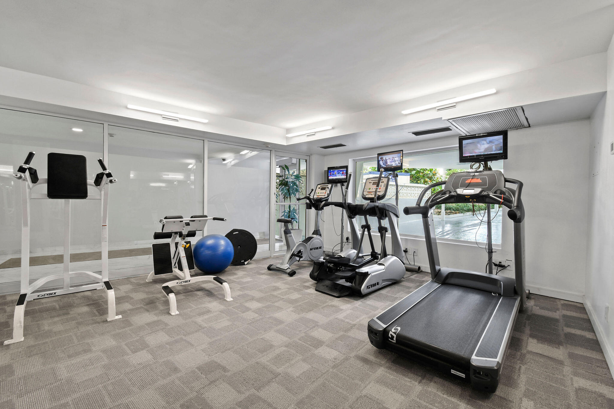 100 Sunrise Avenue 219