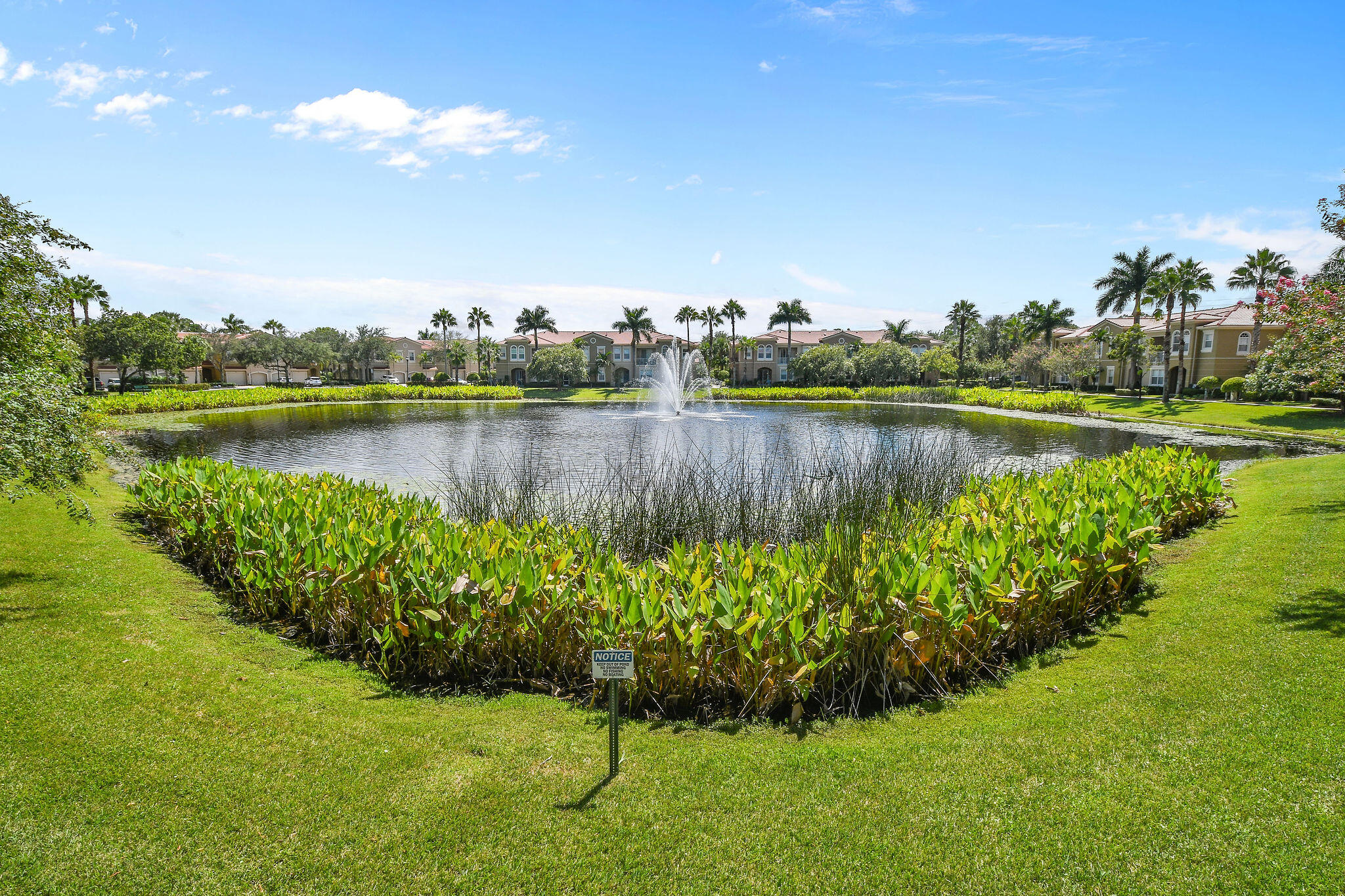 4931 Bonsai Circle 111