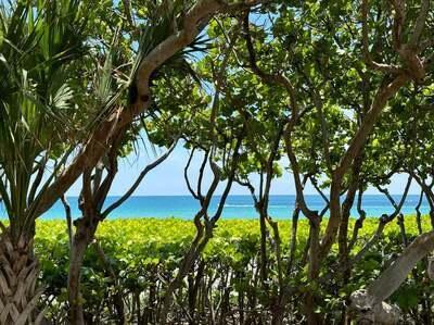 4931 Bonsai Circle 111