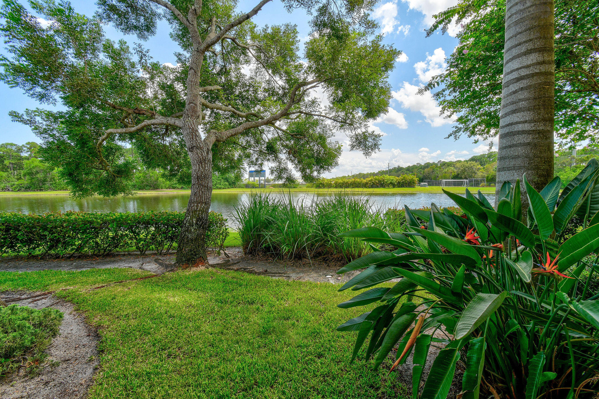 4931 Bonsai Circle 111