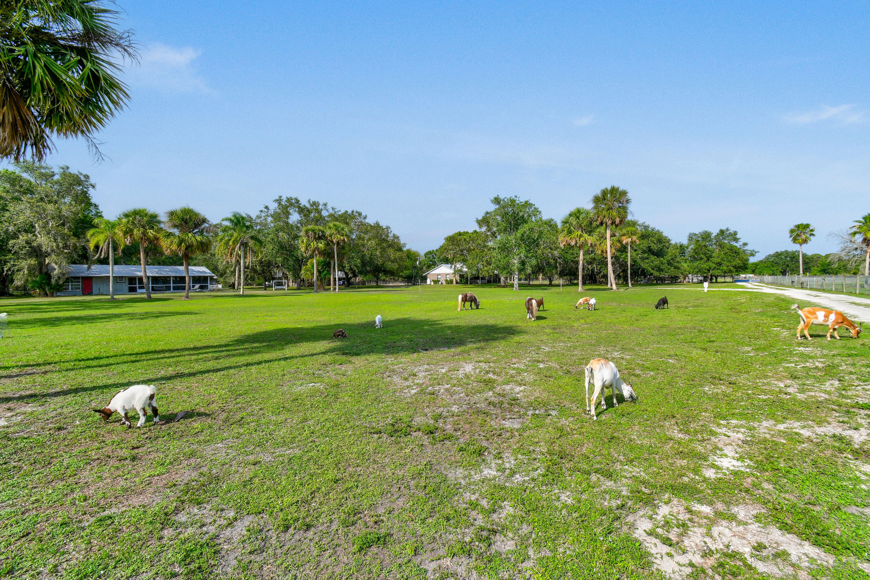 9601 SW Fox Brown Road