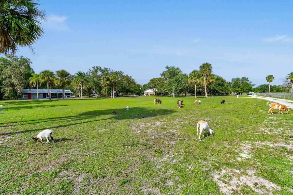 9601 SW Fox Brown Road